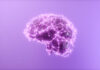 Sliman Bensmaia Wiki: Exploring Neural Coding and Sensory Integration, Early Life, Career, and Much More Sliman Bensmaia Wiki
