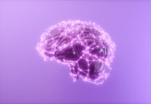 Sliman Bensmaia Wiki: Exploring Neural Coding and Sensory Integration, Early Life, Career, and Much More Sliman Bensmaia Wiki